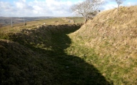 castle dore