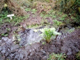 Click for full size image of Madron Well (PID:210977) Madron Well