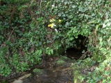 Click for full size image of Alsia Well (PID:210800) Alsia Well