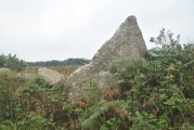 Click for full size image of Boscawen-Un Hedge (PID:210643) Boscawen-Un Hedge