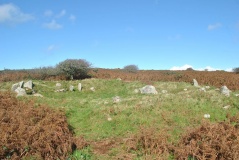 Click for full size image of Mulfra Settlement (PID:210624) Mulfra Settlement