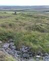 Click for full size image of Chapel Carn Brea Tomb (PID:246079) Chapel Carn Brea Tomb