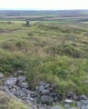 Chapel Carn Brea Tomb