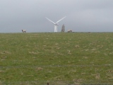 St Breock Downs Menhir