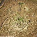 Boskednan stone circle