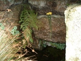 Click for full size image of Trencrom Castle Well (PID:10444) Trencrom Castle Well