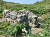 St Levan's Well