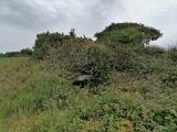 Click for full size image of Piskey’s Hall – The Fairy’s Fogou (PID:245348) Piskey’s Hall – The Fairy’s Fogou