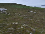 Tregarthen Hill Settlement