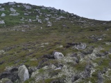 Click for full size image of Tregarthen Hill Settlement (PID:260379) Tregarthen Hill Settlement