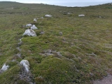 Tregarthen Hill Settlement