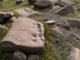 Stithians Cupmarked Stones