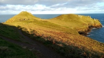 The Rumps