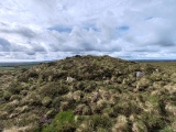 Click for full size image of Rosenannon Downs (PID:273446) Rosenannon Downs