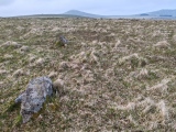 Click for full size image of Louden Hill circle (PID:273880) Louden Hill circle