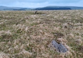 Click for full size image of Louden Hill circle (PID:273881) Louden Hill circle