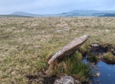 Click for full size image of Louden Hill circle (PID:273883) Louden Hill circle