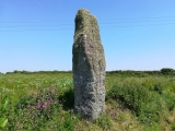 Click for full size image of Tresvennack Pillar (PID:274045) Tresvennack Pillar