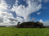 Click for full size image of Veryan Barrow (PID:279880) Veryan Barrow