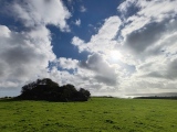 Click for full size image of Veryan Barrow (PID:279886) Veryan Barrow