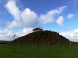 Click for full size image of Veryan Barrow (PID:279881) Veryan Barrow