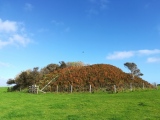 Click for full size image of Veryan Barrow (PID:279888) Veryan Barrow