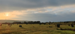 Click for full size image of The Hurlers (C) (PID:281557) The Hurlers (C)