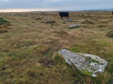 Click for full size image of Craddock Moor circle (PID:281565) Craddock Moor circle