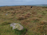 Click for full size image of Craddock Moor circle (PID:281571) Craddock Moor circle
