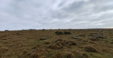 Click for full size image of Craddock Moor circle (PID:281574) Craddock Moor circle