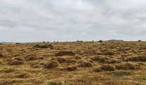 Click for full size image of Craddock Moor circle (PID:281575) Craddock Moor circle