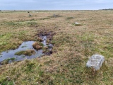Click for full size image of King Arthur's Down NW (PID:281844) King Arthur's Down NW