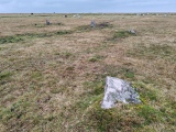 Click for full size image of King Arthur's Down NW (PID:281842) King Arthur's Down NW