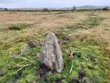 Click for full size image of King Arthur's Down NW (PID:281845) King Arthur's Down NW