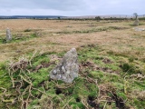 Click for full size image of King Arthur's Down NW (PID:281846) King Arthur's Down NW