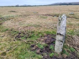 Click for full size image of King Arthur's Down NW (PID:281849) King Arthur's Down NW