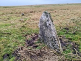 Click for full size image of King Arthur's Down NW (PID:281856) King Arthur's Down NW