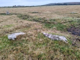 Click for full size image of King Arthur's Down NW (PID:281852) King Arthur's Down NW