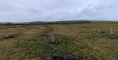 Click for full size image of King Arthur's Down NW (PID:281851) King Arthur's Down NW