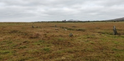 Click for full size image of King Arthur's Down NW (PID:281855) King Arthur's Down NW