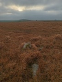 Click for full size image of Louden Hill circle (PID:281095) Louden Hill circle