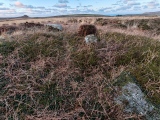Click for full size image of Boskednan 4 (PID:286427) Boskednan 4