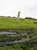 The Long Stone (Minions) - PID:42793