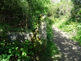 Click for full size image of Madron Well (PID:182268) Madron Well
