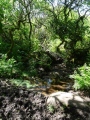 Click for full size image of Madron Well (PID:182270) Madron Well