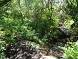 Click for full size image of Madron Well (PID:182271) Madron Well