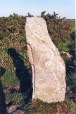 Nine Maidens Stone Row - PID:15828