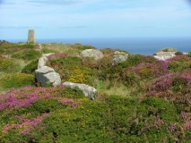 Trendrine Hill Round Barrows - PID:8859