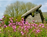Click for full size image of Trethevy Quoit (PID:121191) Trethevy Quoit