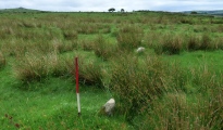 Craddock Moor stone row